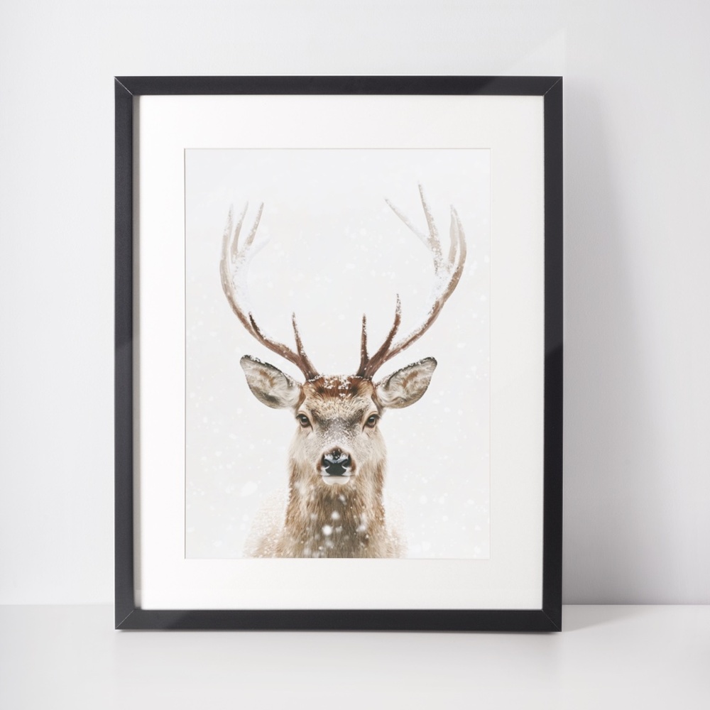 Deer Wall Art Print Poster Unframed - Watercolor Animal Print - Picture 3 of 8
